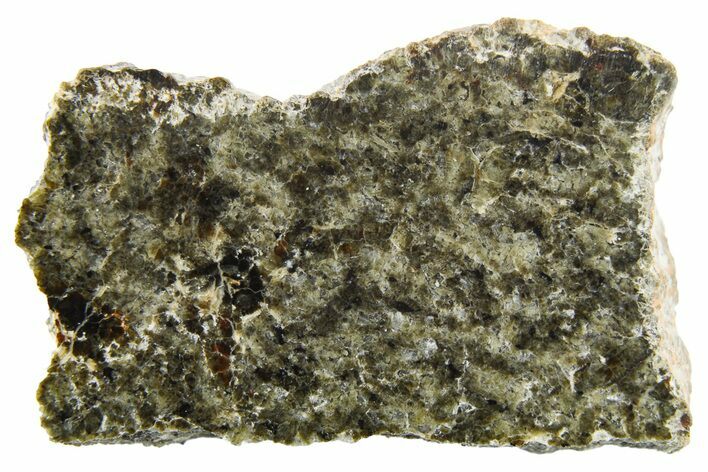 Polished Martian Meteorite Slice ( g) - NWA #262788